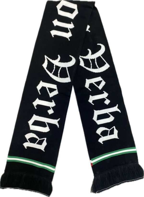 FACTA NON VERBA  - scarve